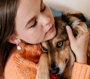 adopt a dog UK – ethical dog rehoming in the UK